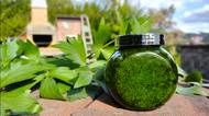 Libečkové pesto: Výborné do polévek, na těstoviny, na pizzu